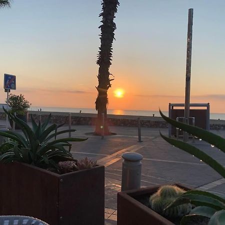 Suite 21 - Clim - Front De Mer Canet-en-Roussillon Buitenkant foto